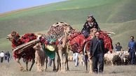 آبرسانی به ۱۲۰۰ خانوار عشایر تهران