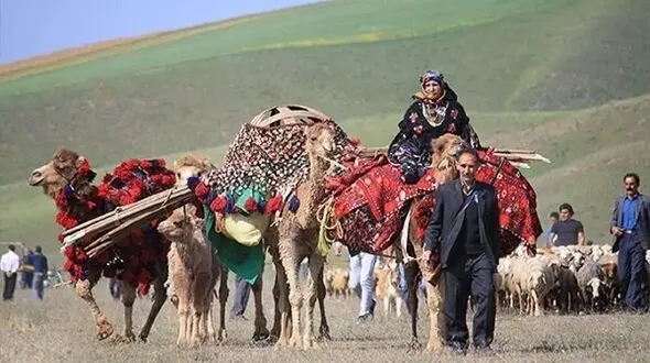  تامین آب شرب بهداشتی مناطق عشایری تهران/ انتقال آب لوله کشی و اختصاص ۱۰۰ پنل خورشیدی برای عشایر