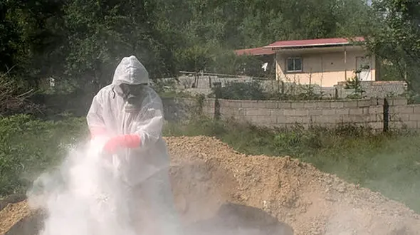 تجربه پیک جدید اپیدمی کرونا در بوشهر