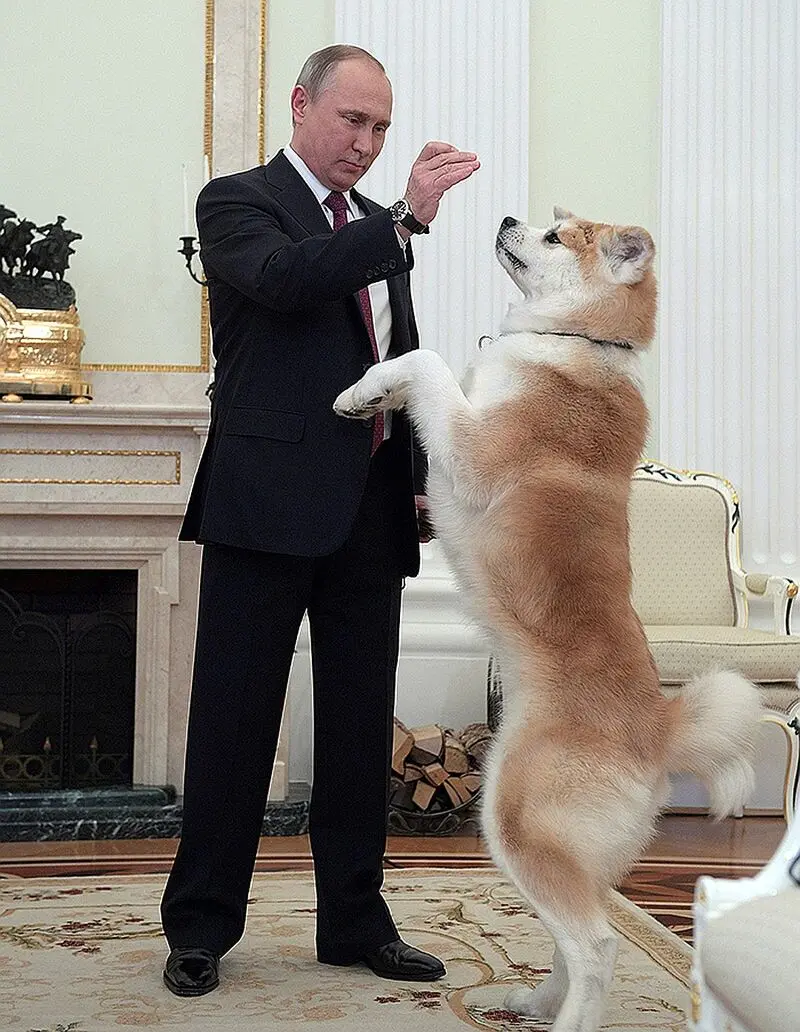 پوتین