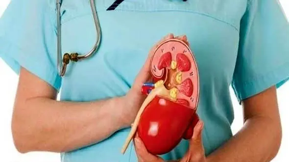 چرا دچار سنگ کلیه می‌شویم؟