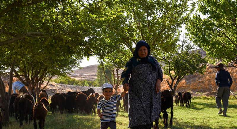 روستایی با یک خانوار