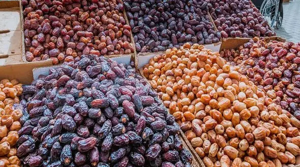 از نخلستان تا صادرات؛چرا خرمای اعلای ایران روی دست نخل‌دارها می‌ماند؟