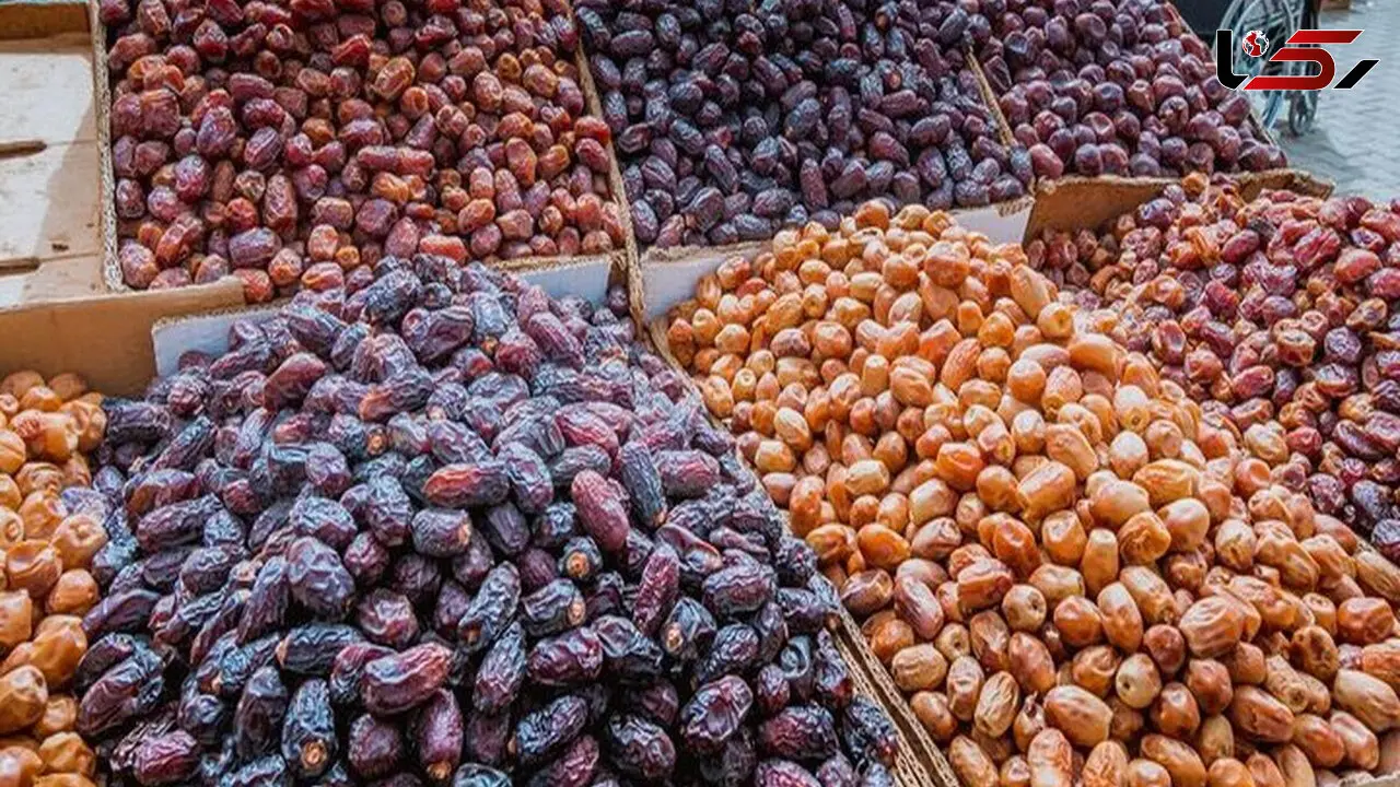 از نخلستان تا صادرات؛چرا خرمای اعلای ایران روی دست نخل‌دارها می‌ماند؟