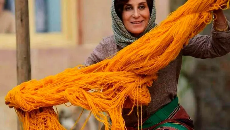 بنفشه آفریقایی 