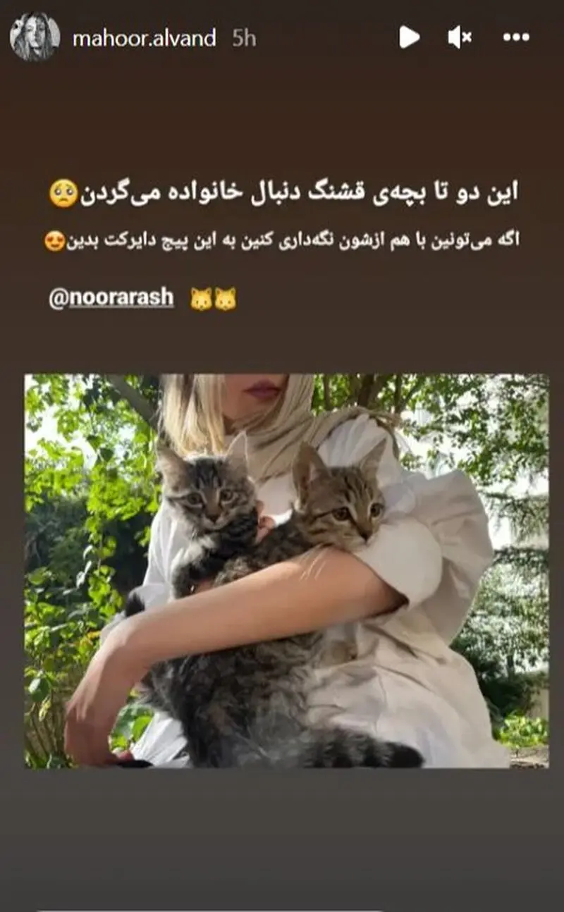 استوری ماهور الوند با گربه ها