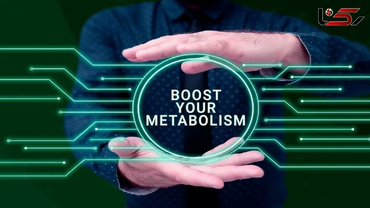 تسریع سوزاندن انرژی در بدن با یک مکانیسم جدید