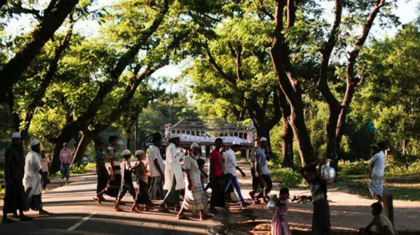 فیل های وحشی چهار زن و کودک مسلمان میانماری را کشتند