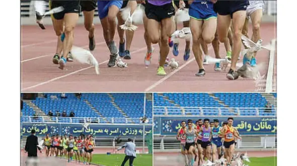 کبوترها ورزشگاه امام رضا(ع) را به هم ریختند + عکس عجیب