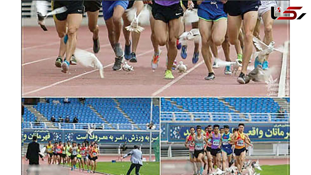 کبوترها ورزشگاه امام رضا(ع) را به هم ریختند + عکس عجیب
