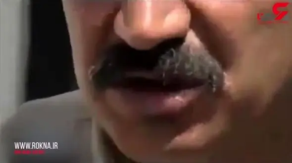 مرد بختیاری بچه‌اش را در یک آکواریوم با چندین مار کبری تنها گذاشت! + فیلم