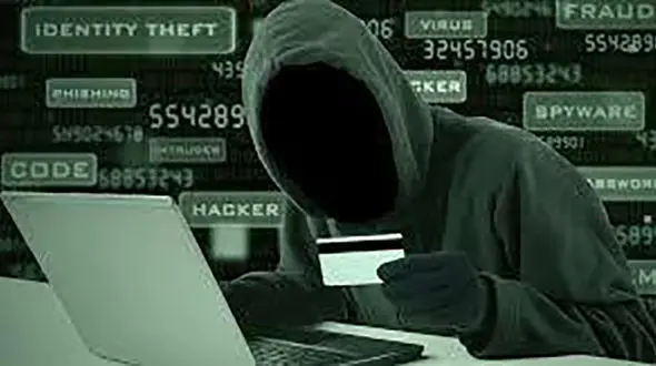 بازداشت هکر جوانی که  سایت دولتی را هک کرد / در فارس رخ داد