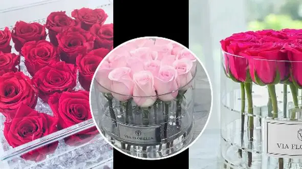 مدل‌ های لاکچری باکس شیشه‌ ای گل رز برای هدیه‌ های ارزشمند