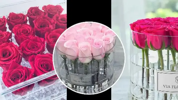 مدل‌ های لاکچری باکس شیشه‌ ای گل رز برای هدیه‌ های ارزشمند