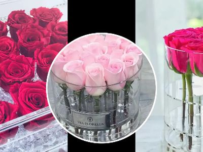 مدل‌ های لاکچری باکس شیشه‌ ای گل رز برای هدیه‌ های ارزشمند