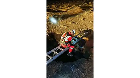 بیرون کشیدنِ گاو باردار از چاه 