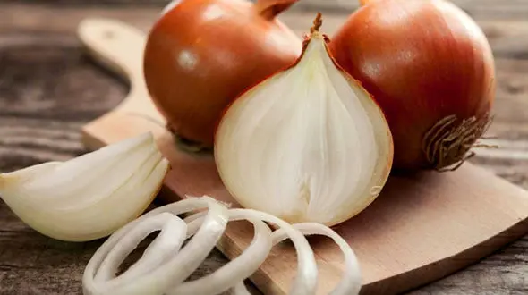  پیاز باکتری‌ها را جذب می‌کند؟