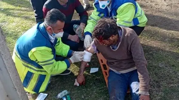 حمله ی پلنگ وحشی به چوپان جوان