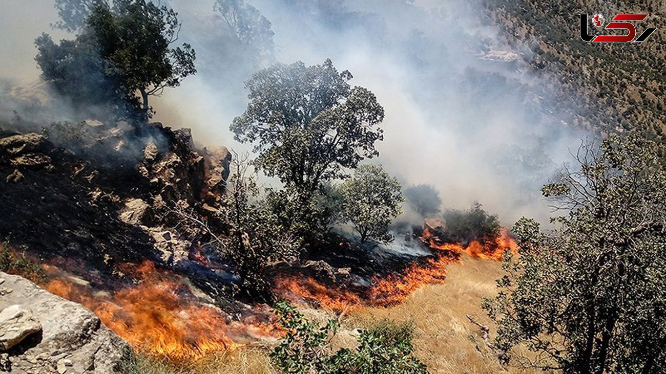 خسارت سنگین آتش‌سوزی در ارتفاعات "بازی‌دراز" کرمانشاه