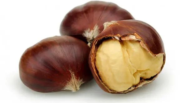 شاه بلوط بخورید تا چاق نشوید 