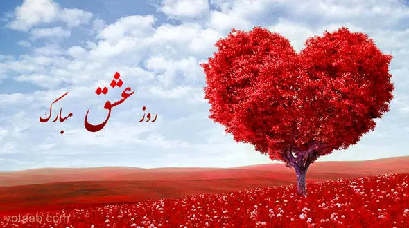 ولنتاین و کتاب های عاشقانه ای که می توانید هدیه دهید + تصاویر