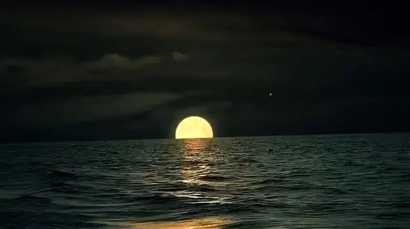 هر چالش، فرصتی برای رشد جدید