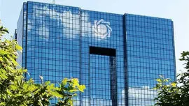 بانک مرکزی: مسئول قیمت‌ گذاری خودرو سازمان حمایت است