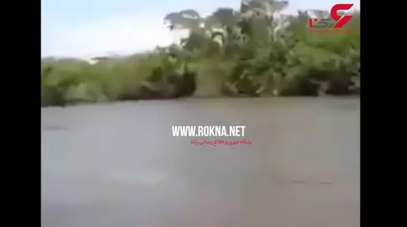 استفاده از مار آناکوندا به جای موتور قایق! + فیلم