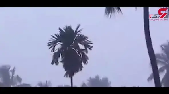 بارش عجیب باران 1422 کشته در هند به  جا گذاشت + فیلم 