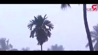 بارش عجیب باران 1422 کشته در هند به  جا گذاشت + فیلم 