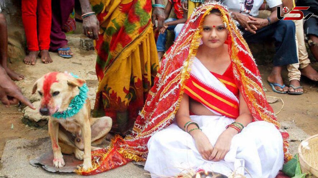  دختر نوجوان هندی با یک سگ ازدواج کرد! +تصاویر