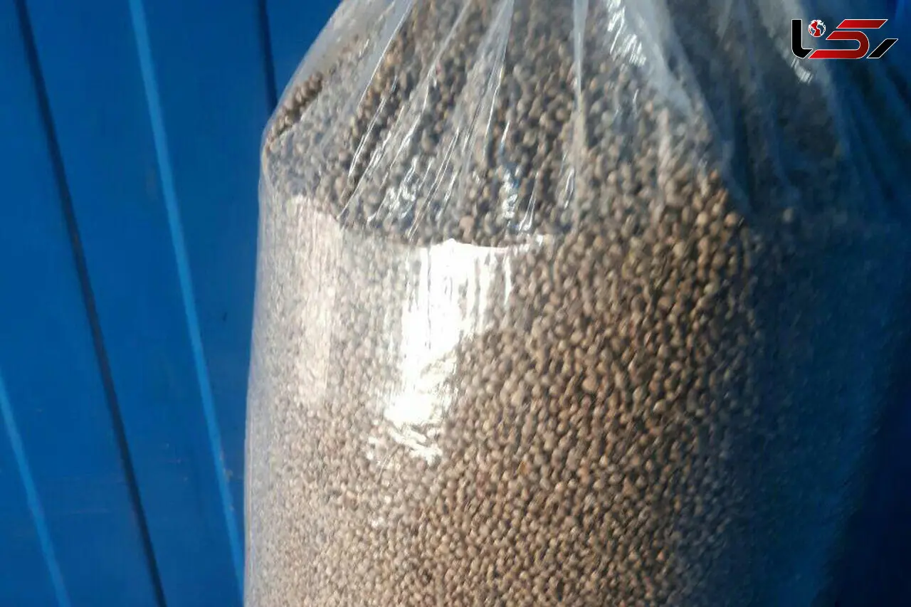 کشف ۱۰ کیلو  بذر ماده مخدر گل از یک کامیون در مرز افغانستان + عکس 