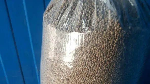 کشف ۱۰ کیلو  بذر ماده مخدر گل از یک کامیون در مرز افغانستان + عکس 