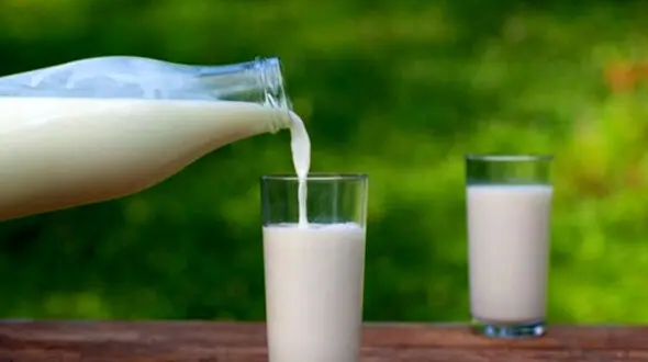 9 خوراکی مفید برای افراد درگیر اوره خون