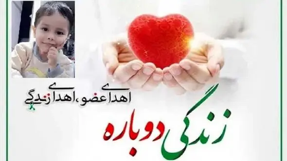 اهدای اعضای بدن کیان قهرمان / همه اشک ریختند