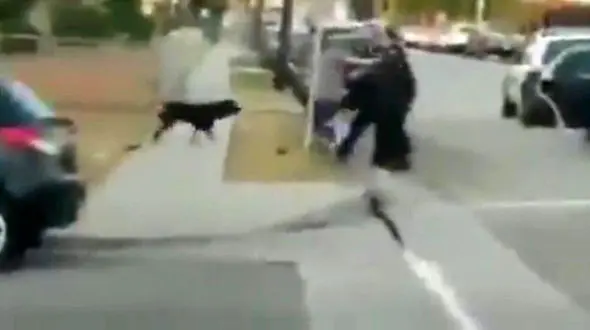 فیلم قتل وحشیانه سگ توسط پلیس / این فیلم کاربران اینترنتی را شوکه کرد / امریکا