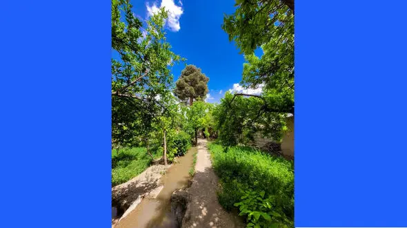 فال روزانه شخصی / 17خرداد ماه + فیلم