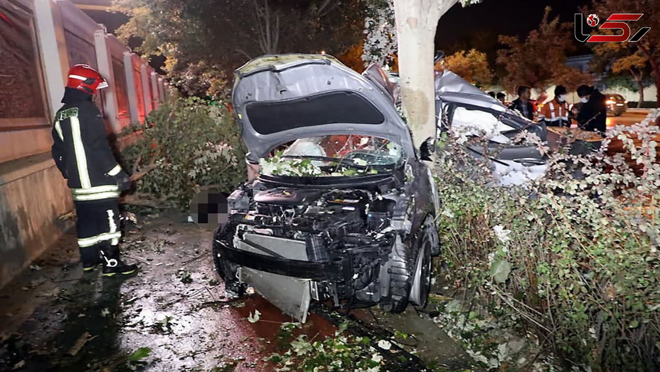 عکس صحنه  مرگ تلخ زن تهرانی در تصادف پژو با درخت / در بزرگراه حکیم رخ داد