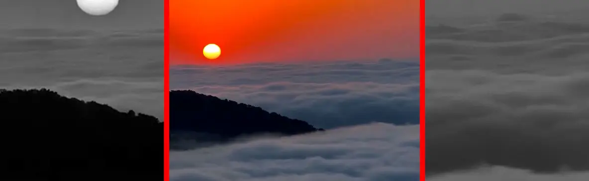 فیلم غروب رویایی جنگل درازنو کردکوی