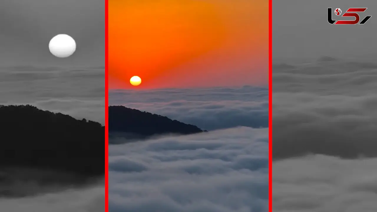فیلم غروب رویایی جنگل درازنو کردکوی