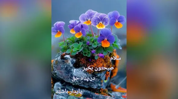 فال و طالع بینی امروز 7 شهریور 