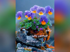 فال و طالع بینی امروز 7 شهریور 