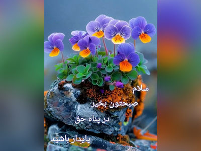 فال و طالع بینی امروز 7 شهریور 