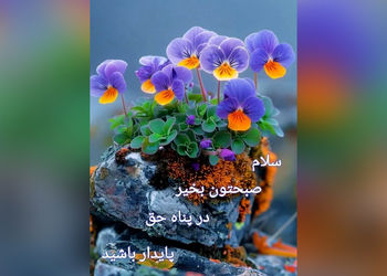 فال و طالع بینی امروز 7 شهریور 