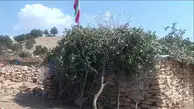 مدرسه کپری با دو دانش آموز در لرستان / این استان ۳۰ مدرسه سنگی دارد / وعده حذف مدارس کپری و سنگی چه شد؟ + فیلم و صوت