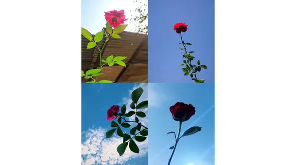 فال ابجد امروز / 30 بهمن + فیلم