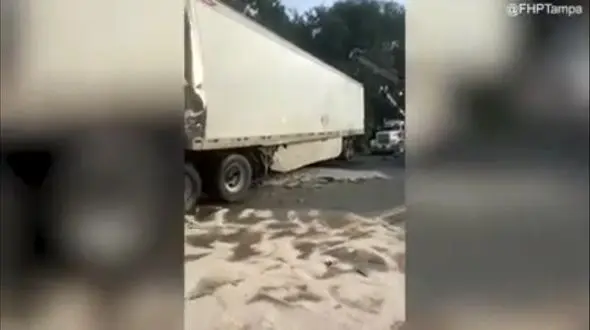 فیلم تصادف وحشتناک دو تریلی/ اتوبان مسدود شد