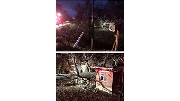 سقوط مرگبار درخت روی دختر بچه 5 ساله / خانه 2 نیمه شد + عکس