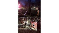 سقوط مرگبار درخت روی دختر بچه 5 ساله / خانه 2 نیمه شد + عکس