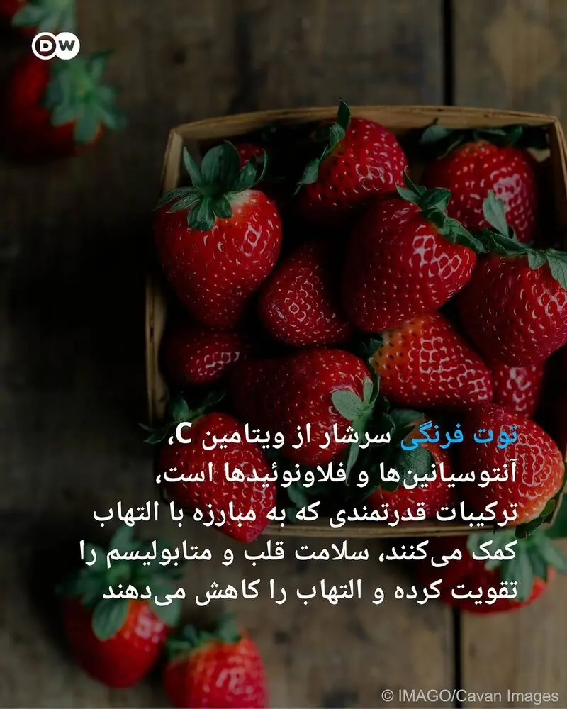 توت فرنگی